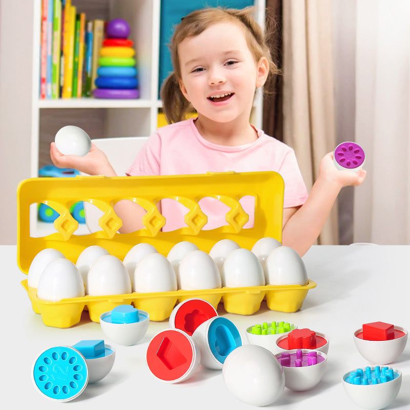 Toddler Montessori Egg Matching Game
